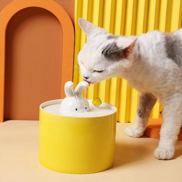 Chic Cat Hydration Fountain